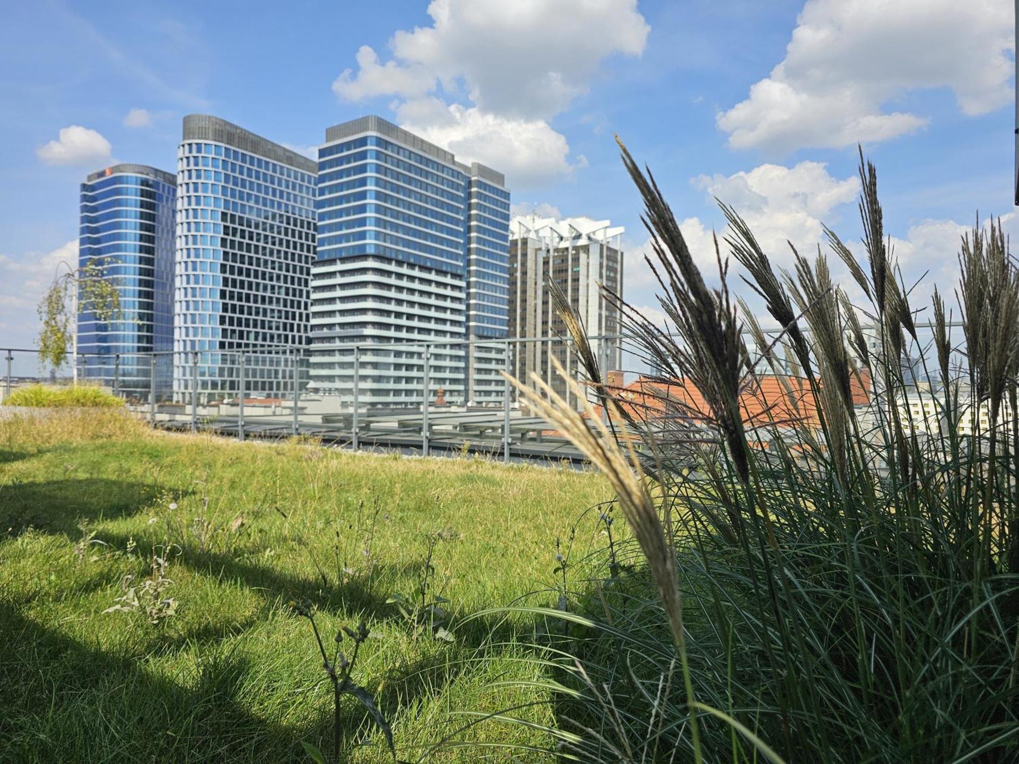 Urban Apartments Luxury Opolska 10 No 29, Free Garage, Self Check-In Katowice Bagian luar foto